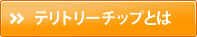 テリトリーチップとはページへ
